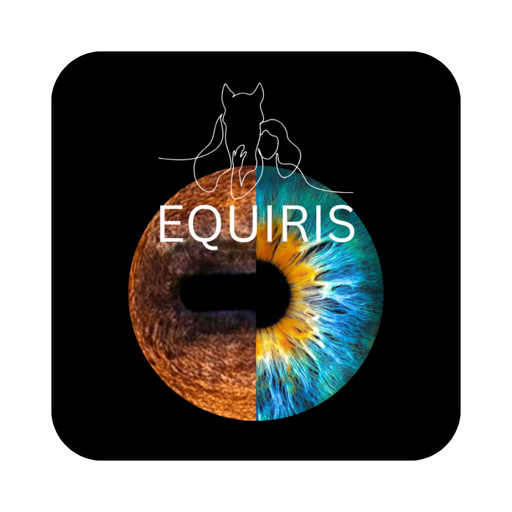 equiris photographe iris chevaux humain cavalier