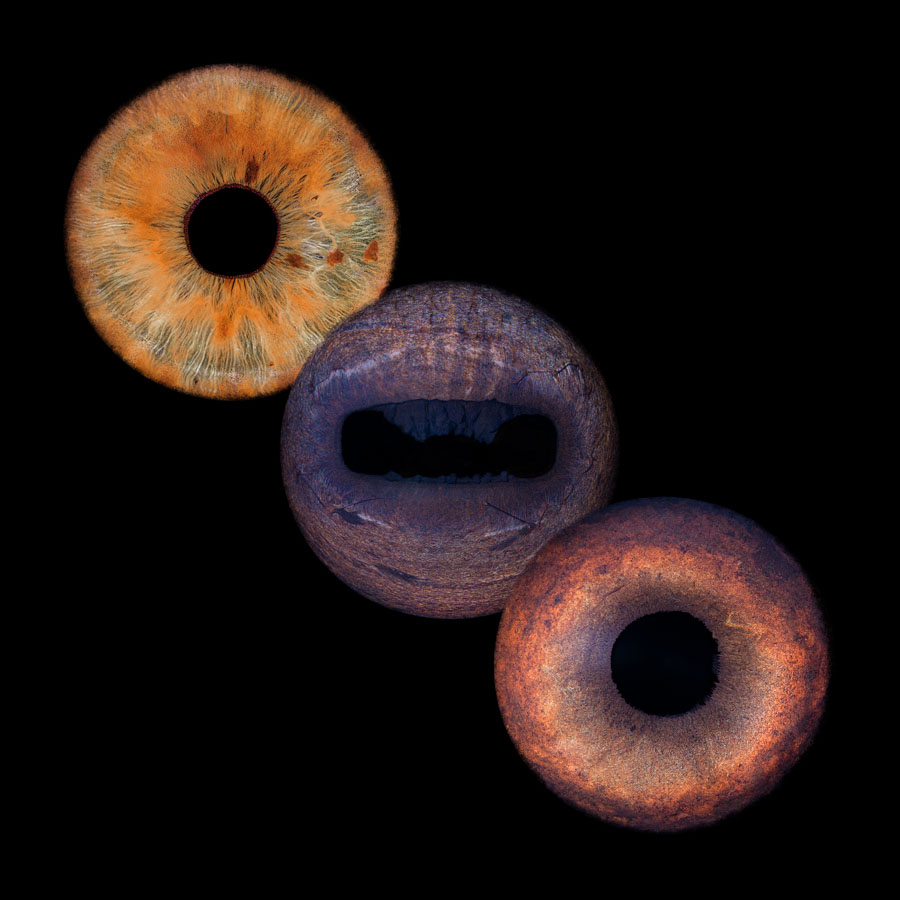 equiris trio effet 1 neutre