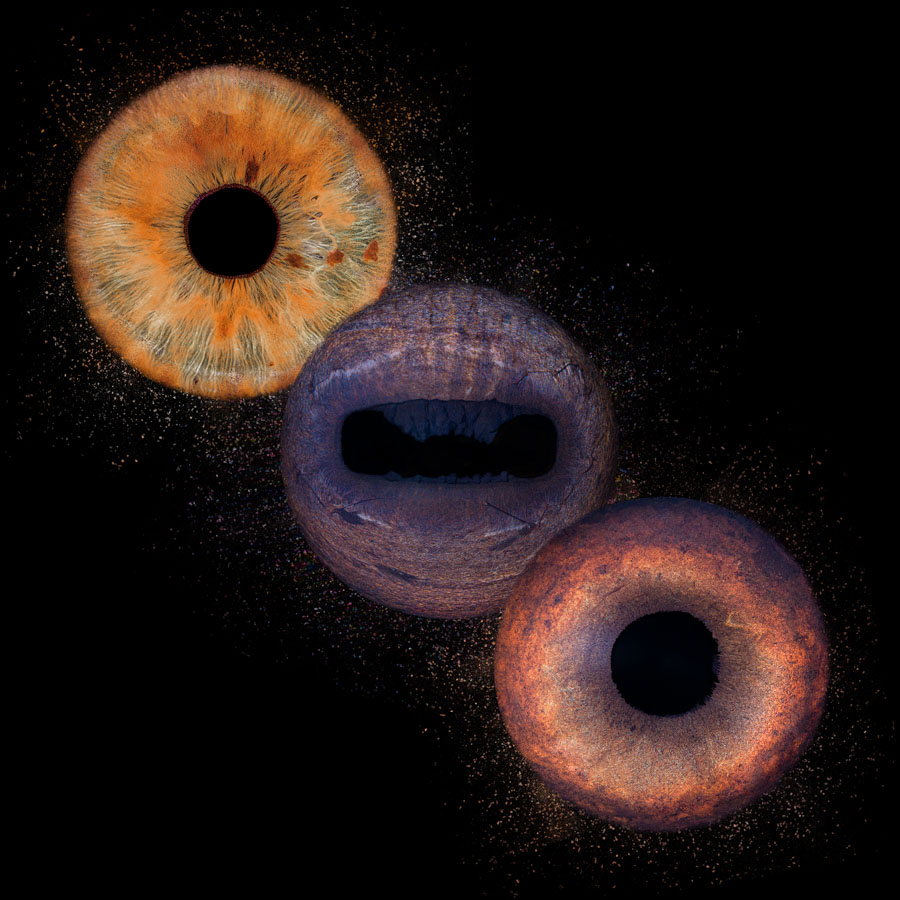 equiris trio effet 2 grain