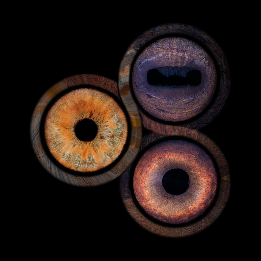 equiris trio effet 3halo
