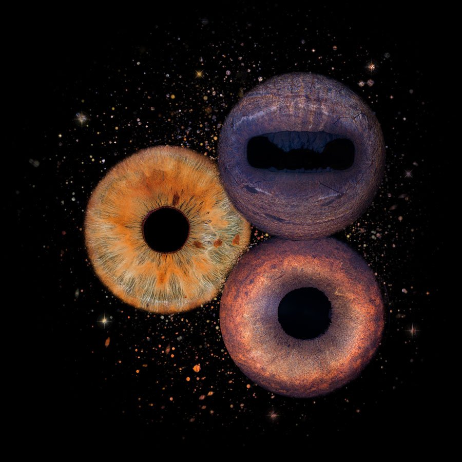 equiris trio effet 4 cosmos