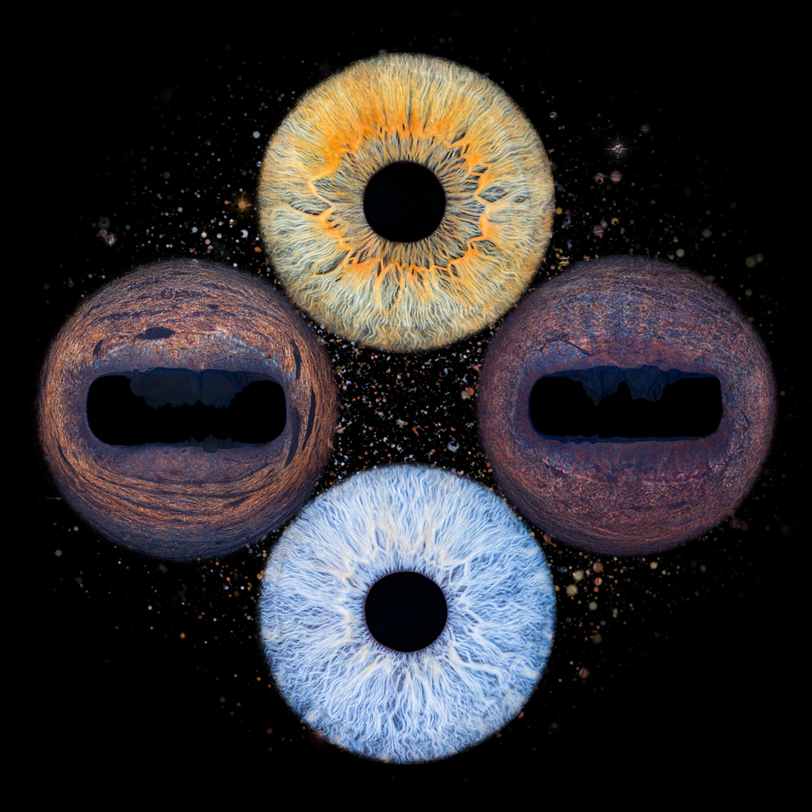 effet 4 4 cosmos